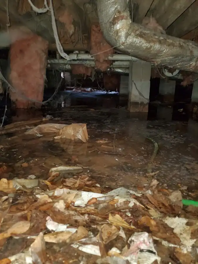 Crawl space flood assessment for Leak Detection & Repair in Desert Hot Springs